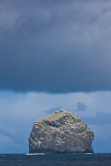 Isla Stac Lee y colonia de alcatraz. Archipielago St. Kilda. Outer Hebrides. Scotland, UK