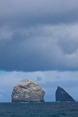 Isla Stac Lee y Stac an Armin. Colonia de alcatraz. Archipielago St. Kilda. Outer Hebrides....
