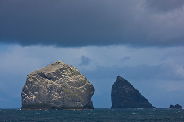 Isla Stac Lee y Stac an Armin. Colonia de alcatraz. Archipielago St. Kilda. Outer Hebrides....