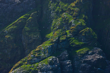 Isla Boreray. Archipielago St. Kilda. Outer Hebrides. Scotland, UK