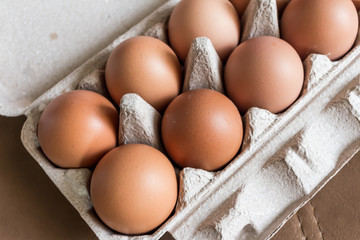 Close-up view of raw chicken eggs in egg box.