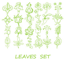 Vector branches and leaves. Hand drawn floral elements.