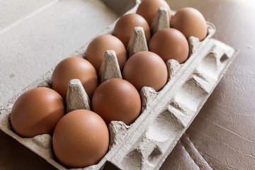 Close-up view of raw chicken eggs in egg box.