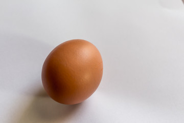 Chicken egg on white background.
