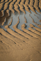 sand textures at low tide