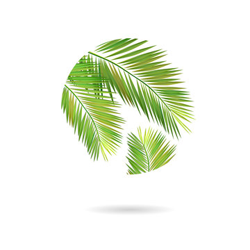 Palm leaves logo. Vector illustration