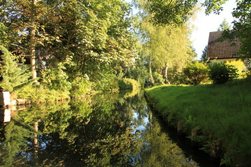 Obraz premium Fließ mit Baumspiegelung