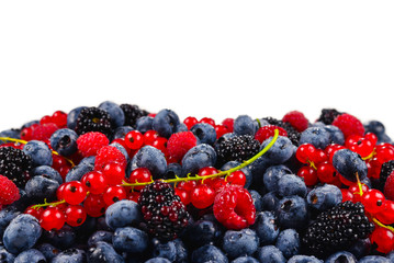 Blackberry, raspberry, blueberry,  red currant and mint background. Isolated on white. Copy space.