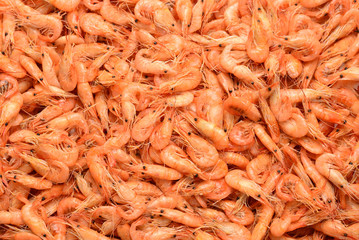 Tasty fresh shrimps as background.