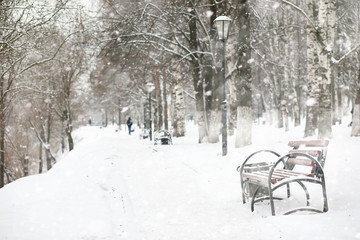 Winter landscape of country fields and roads