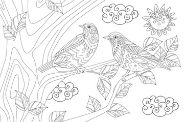 Fototapeta na wymiar couple of pretty birds on branch of tree for your coloring book