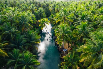 Fotobehang Palmboomjungle in de Filippijnen. concept over reislustige tropische reizen. slingerend op de rivier. Mensen die plezier hebben © oneinchpunch