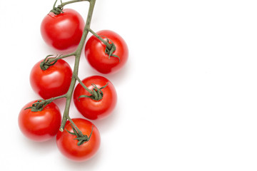 Tomatoes cherry on a branch close up isolated on white background