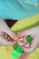 woman holding flower