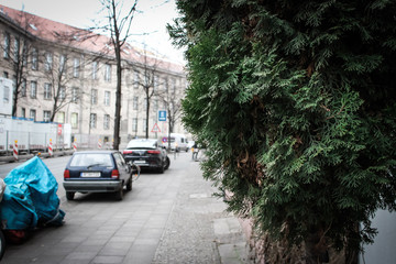 Obraz premium The cityscape of suburban Berlin, Germany. The close up of tree in blurred background of street in cloudy sky with strange atmosphere. 