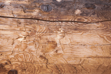 Naklejka premium rough wood background with patterns