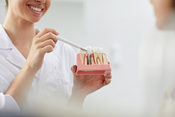 Mid section closeup of smiling female dentist holding tooth model while consulting patient in clinic, copy space - obrazy, fototapety, plakaty