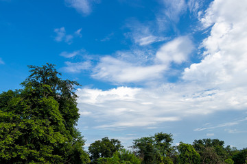 Blue sky with white clouds after the rain.
