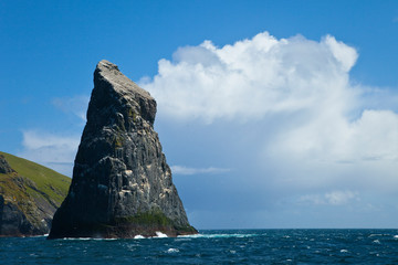 Colonia de alcatraz atlántico. Archipielago St. Kilda. Outer Hebrides. Scotland, UK
