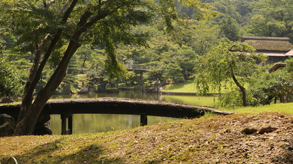 Fototapeta premium 彦根城
