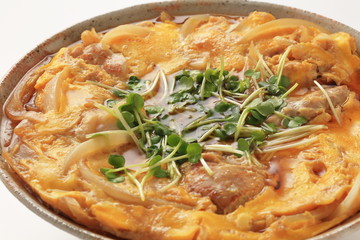 鶏肉の卵とじ