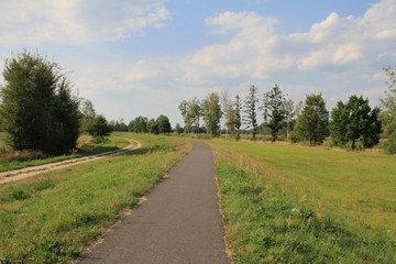 Fototapeta na wymiar Fahrradweg im Spreewald