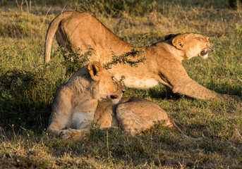 A Good Stretch