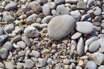 abstract background with dry round reeble stones