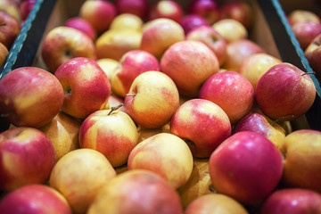 Beautiful fruit background with red apples in a cardboard box