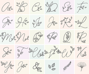 Calligraphy alphabet. Decorative handwritten font. Vector letters decorated with leaves, florals. Wedding calligraphy. ABC for your design. Floral lettering. Monogram, Logo Branding