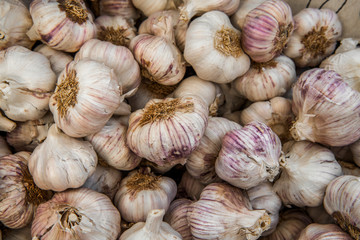 Garlic bulbs background