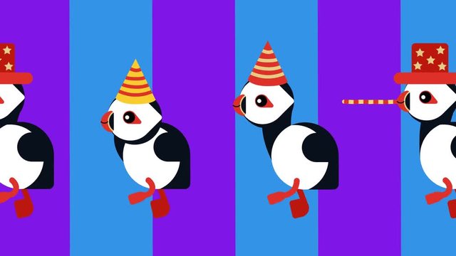 Pretty walking and dance puffins. Colorful carnival. Parade of puffins. Pop and dance mood. Minimal 2D animation design with alpha channel. Seamless loop