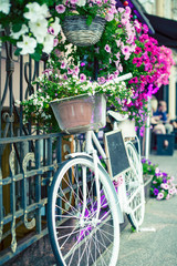 Fototapeta na wymiar flower in basket of vintage bicycle on vintage wooden house wall, summer concept