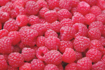 Scattering of wild raspberries, selective focus, soft toning for seasonal delicious food background
