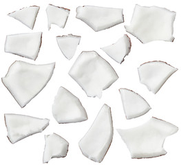 Coconut pieces isolated on white background, cut out