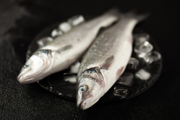 Fresh labrax on ice, raw sea fish. Protein and omega 3.