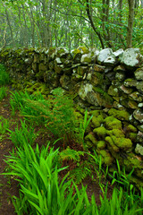 Paisaje rural en Canna. Archipiélago Small Isles. Inner Hebrides, UK