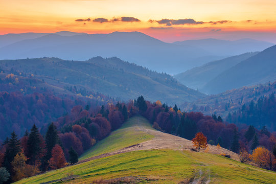 rural area in mountains at dusk. beautiful countryside autumn scenery. path down the hill in to the forest in fall foliage. clouds above the distant ridge an hazy valley. 