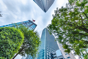 新緑の木とビル群