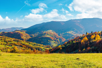 wonderful autumn afternoon in mountains. trees on the hill in colorful fall foliage. sunny weather with clouds on the sky. traditional carpathian countryside landscape with rolling hills