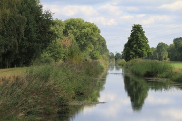 Fototapeta na wymiar Flusslauf im Spreewald 