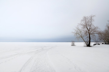 Snowy Field Landscape