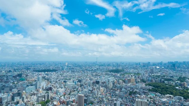 東京風景　タイムラプス　地平線を望む大都会の街並み　2019　夏