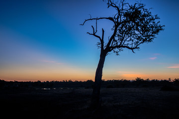 Fototapeta na wymiar Sonnenuntergang am Luangwa River Camp