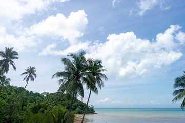 Fototapeta na wymiar Coconut trees and beautiful sea and clouds full of sky
