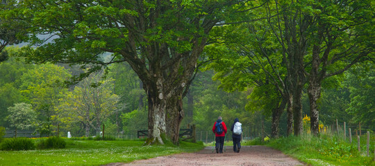 Jardines castillo de Kinloch. Reserva Natural Nacional. Isla Rum. Archipiélago Small Isles. Inner...
