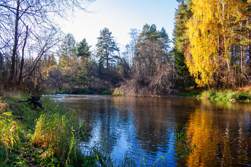 Beautiful autumn trees reflecting on the smooth water surface. Warm autumn day on the river. River bank landscape.