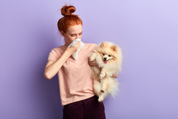 woman holding a dog which is stinking, close up portrait, isolated blue background. girl has found...
