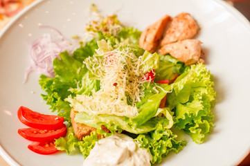 Caesar salad on a white plate.