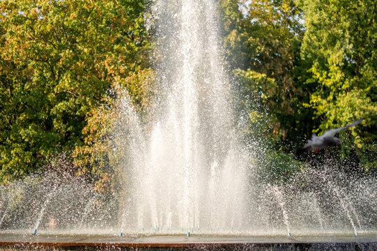 City fountain in summer. © Svitlana